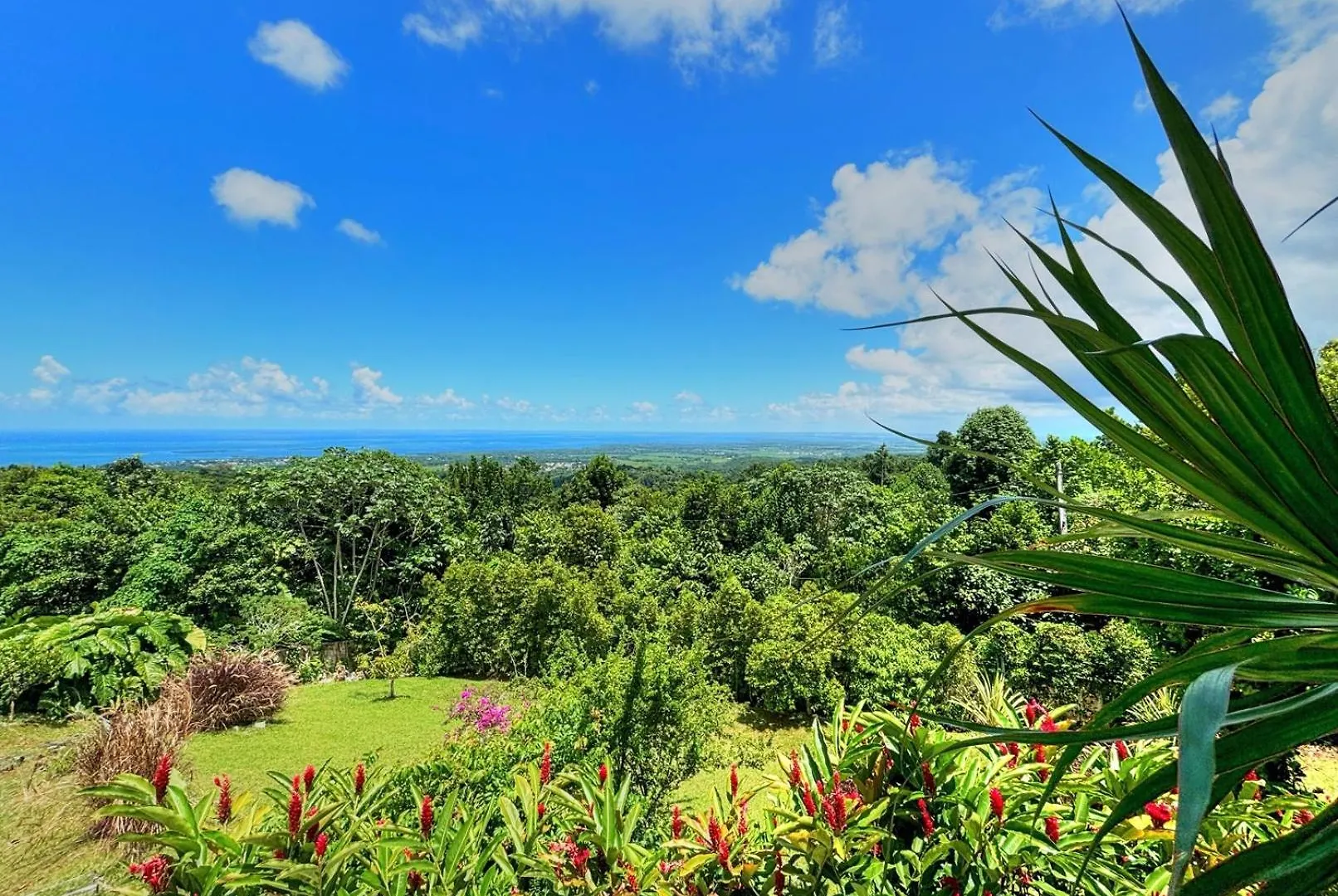 Domaine Les Hauts De Sofaia - Evasion Creole - Vue Spectaculaire Sainte-Rose Villa